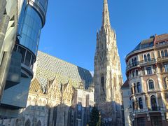 -斯蒂芬主教座堂(Stephansdom)