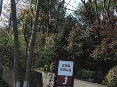 -西湖风景区-江洋畈生态公园
