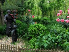 -合肥滨湖国家森林公园