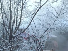 -汉拿山温泉度假酒店