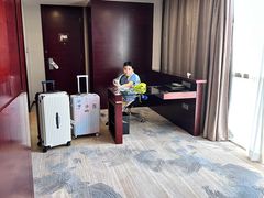 -上海浦东国际旅游度假区绿地铂骊酒店