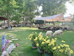 -HERRE·FARM 赫尔露营农场·团建聚会包场