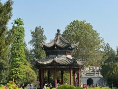 -洛阳白马寺