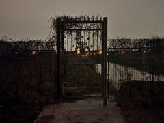 -马陆小张葡萄园农家乐