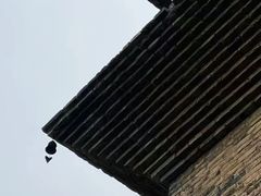 -正定古城-开元寺