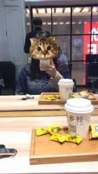 点击看大图 -东方麒麟·潘多拉SALON