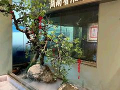 -宴长沙(五一广场店)