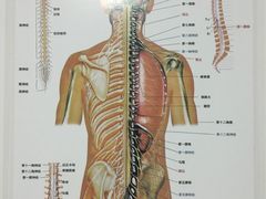 -脊美正骨·推拿·整脊(KKmall京基100店)