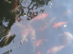 -浙江西子宾馆·瑶园咖啡厅