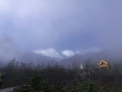 -山野烧烤