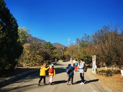 -北京鹫峰国家森林公园
