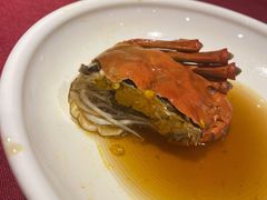 熟醉蟹-老吉士酒家(天平路店)