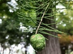 -狼山风景名胜区