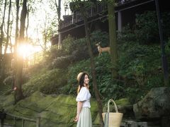 -巴倒烫陆派火锅山庄(南山总店)