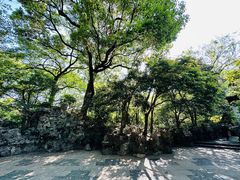 -惠山古镇·寄畅园