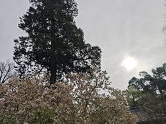 -潭柘寺景区