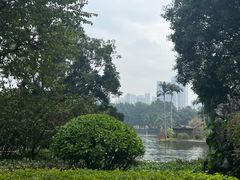 -荔湾湖公园