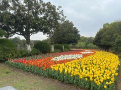 -上海鲜花港