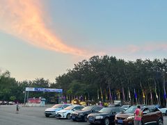 -枫花园汽车电影院(朝阳公园店)