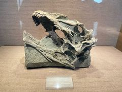 -自贡恐龙博物馆