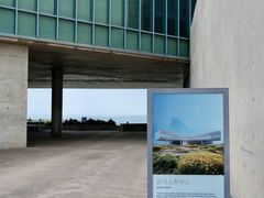 -涉地可支