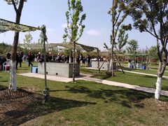 -上海长兴岛郊野公园