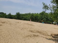 -东郊湿地公园
