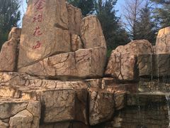 -北纬44度·金珠花海休闲农业旅游景区