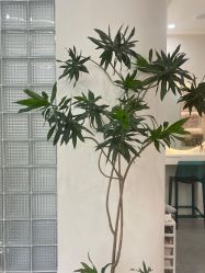 -美愈美肤MEIYU SKIN