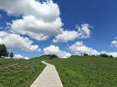 -御道口草原森林风景区