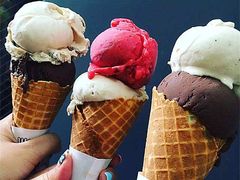 -珠江夜游省总码头