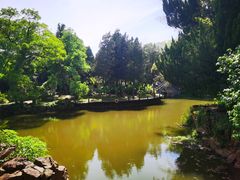 -采石矶景区