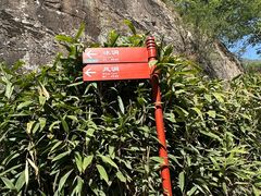 -秦岭终南山世界地质公园翠华山景区
