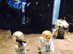 -济州岛泰迪熊博物馆