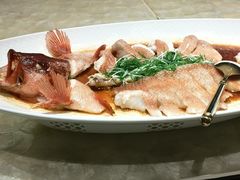 东星斑-明湖楼·经典鲁菜山东海鲜(大明湖店)