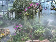 -东莞植物园