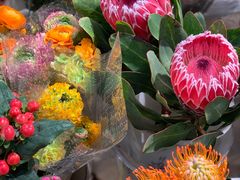 -双季花艺园艺市场(浦东店)