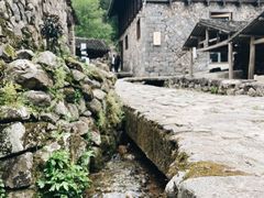 -MOJ coffee(瓯海泽雅水碓坑店)