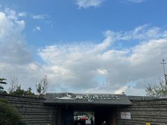 -白鹭湾湿地公园