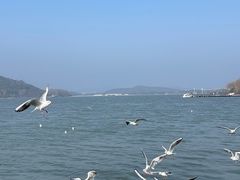 -水上明月·湖景餐厅