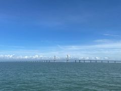 -招商蛇口邮轮母港(观光客运)