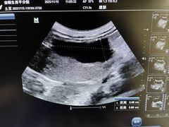 -宠颐生猫科·内科皮肤科(西平世纪城店)