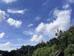 -广州长隆野生动物世界