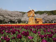-苏州上方山国家森林公园
