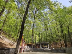 -红螺寺