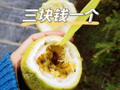 -龙脊梯田