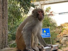 -黔灵山公园
