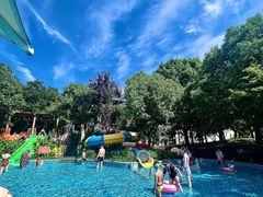 -苏州乐园森林水世界