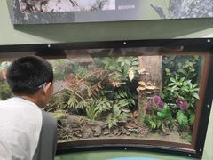 -国家自然博物馆