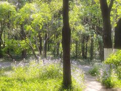 -千佛山风景名胜区